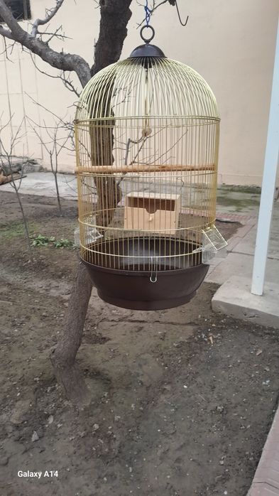 БООООЛЛЛЬШАААЯЯ Клетка для попугаи и т.д