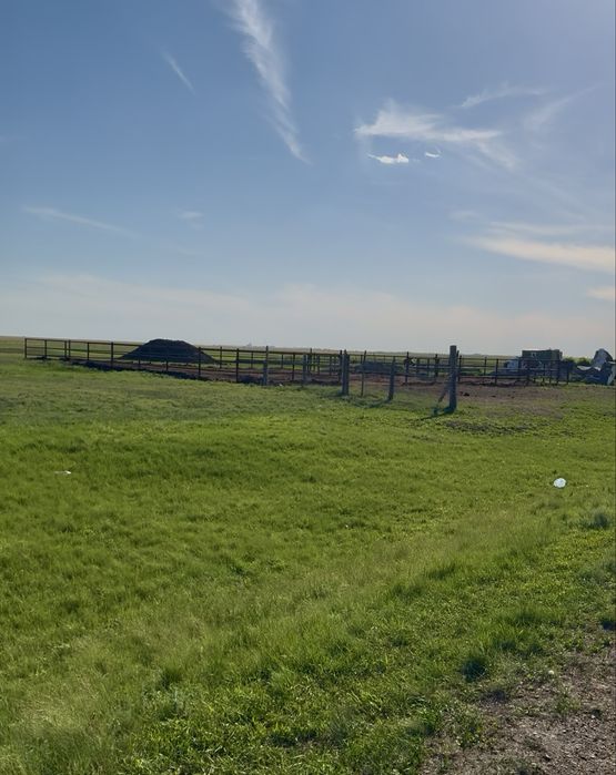 Продам животноводческое хозяйство