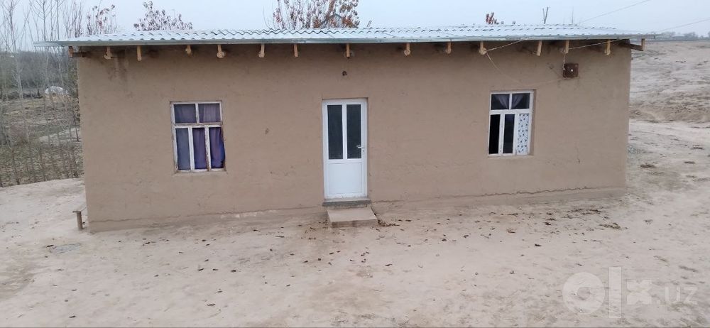 Qashqadaryo viloyatida kugdala tumani oltin dala mahallasi