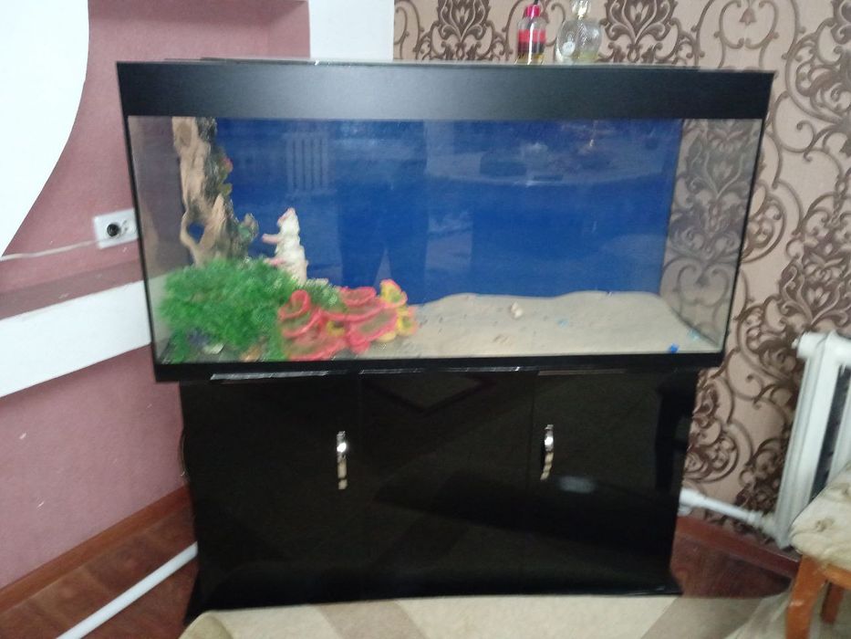 Аквариум срочно сотилади!