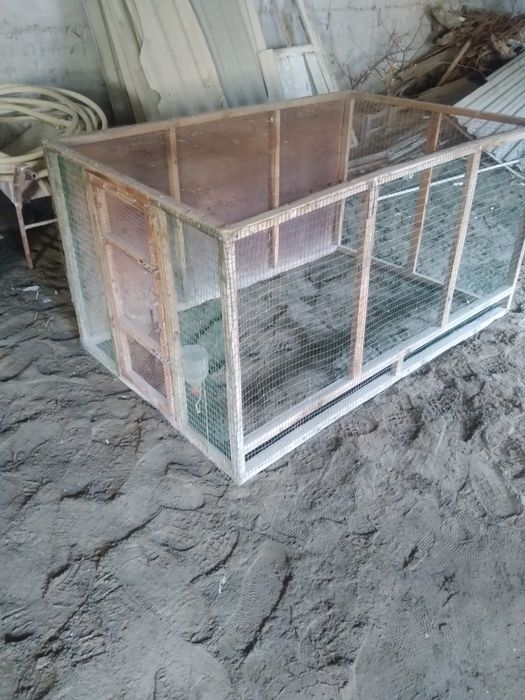 Tovuq katak sotiladi