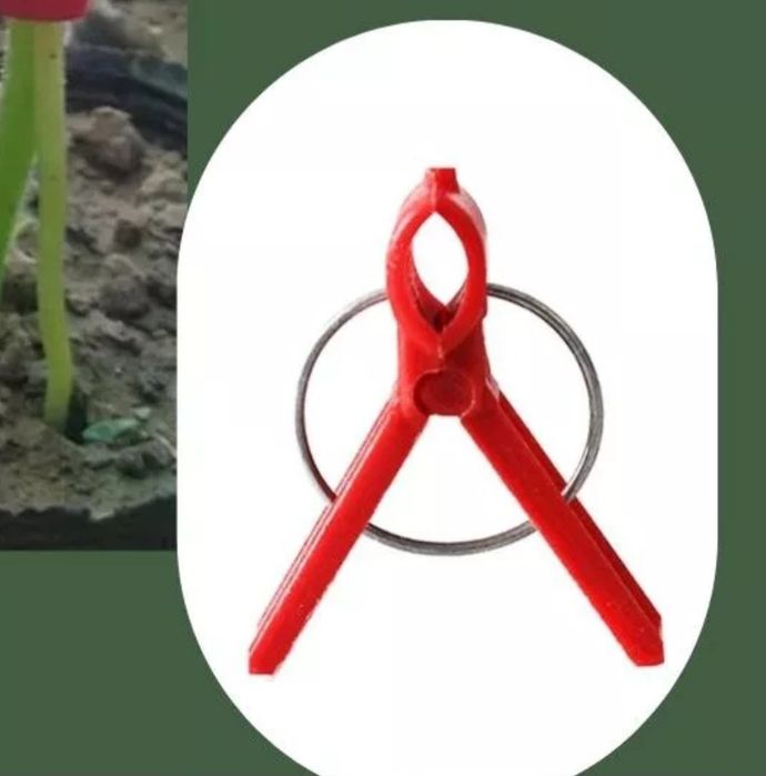 Фиксаторы для прививки растений