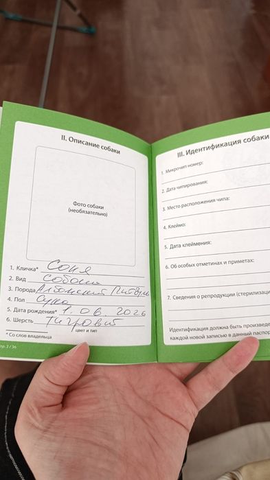 Продам собаку питбуль