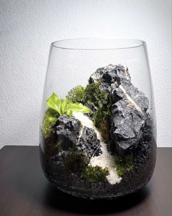 Террариум, мох, флорариум