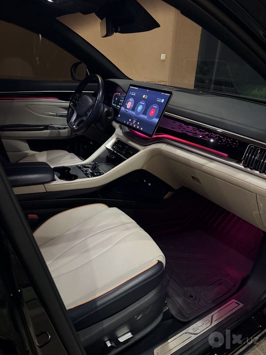BYD Champion 2023й 605км  краска тоза ,  емкость 95%