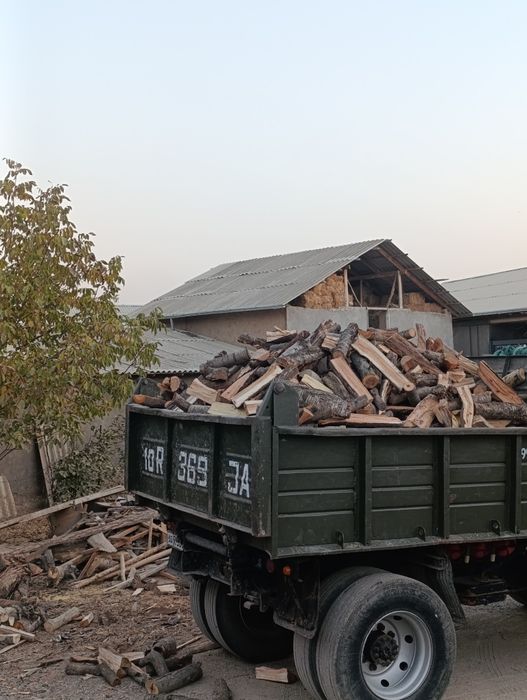 O'tin дрова сухой