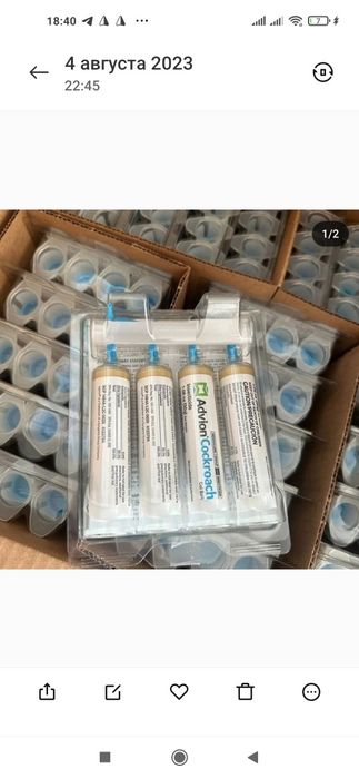 Optim:Tarakan dori,Таракан дори