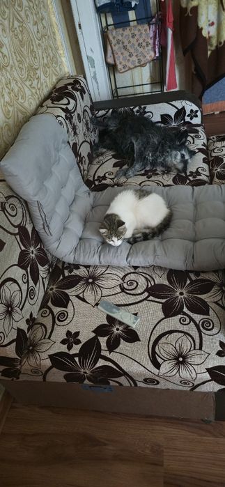 Отдам диван бесплатно