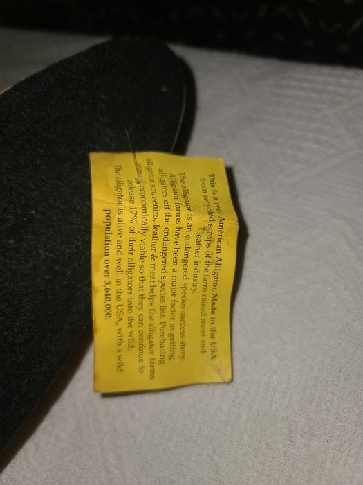 Чучело крокадила.