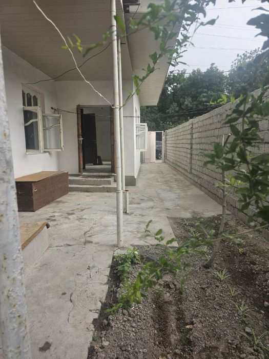 Uy hovli sotiladi 25.000 min kelishamiz