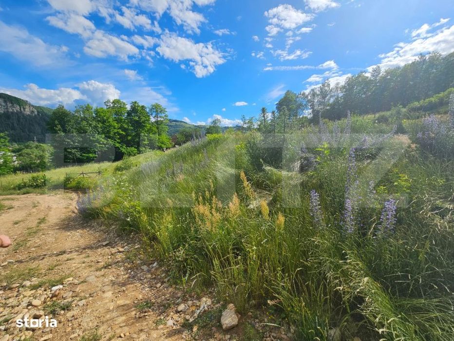 Teren intravilan, 2.000 mp, 2 parcele, zona Lupsa