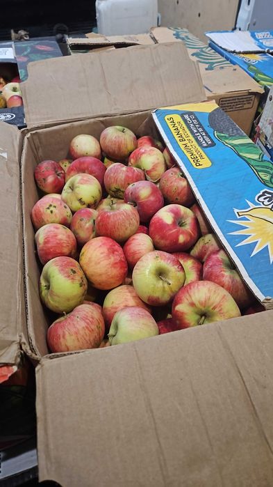 Продам яблоки Апорт,Айдарет