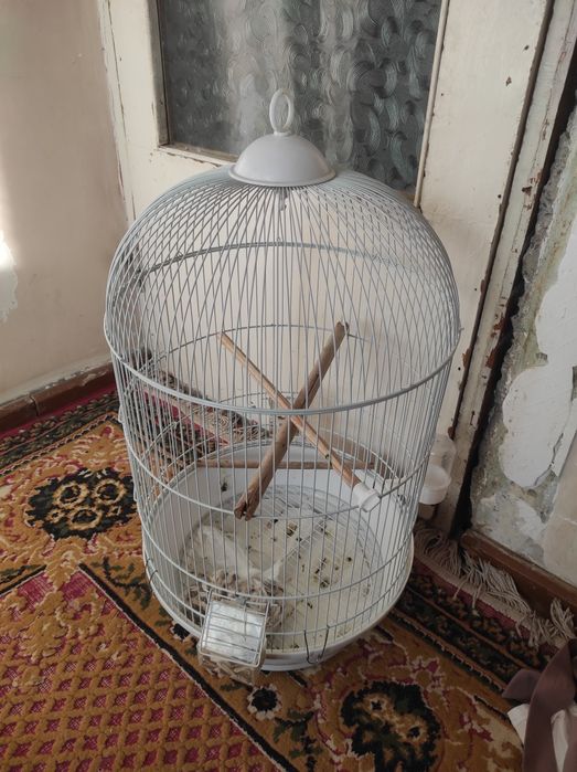 Клетка,Qafas,Qafas qushla uchun