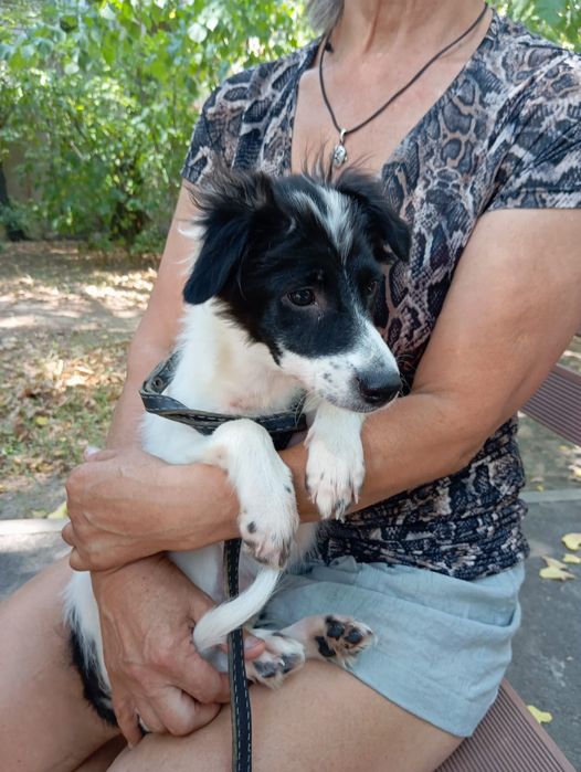 Мальчик Звоночек