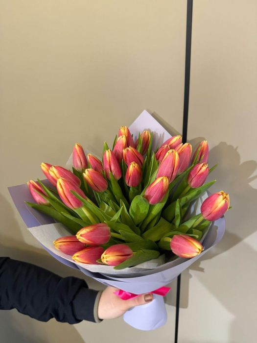 Тюльпаны с теплицы голландский сорт