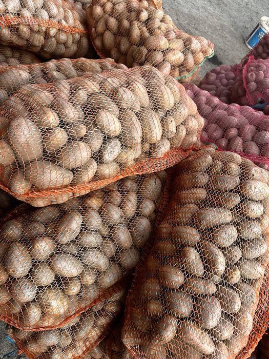 Cartofi albi si rosi de vanzare 1,80 albi 2 lei roși