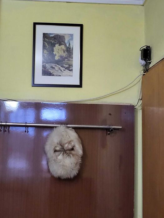 Дамски кожух и шапка от бяла лисица