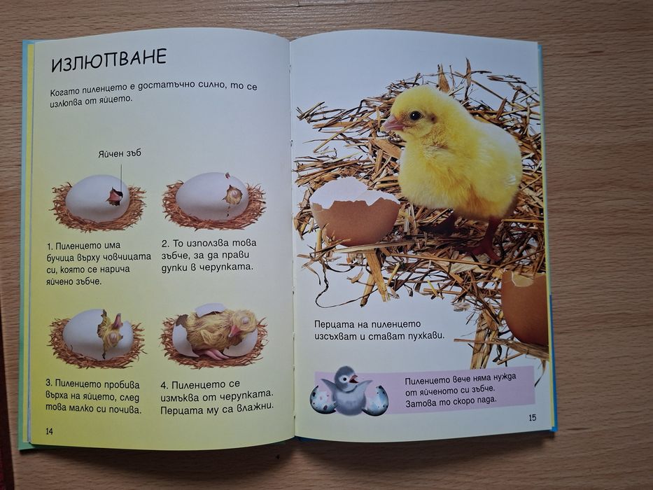 Голям лот детски книжки