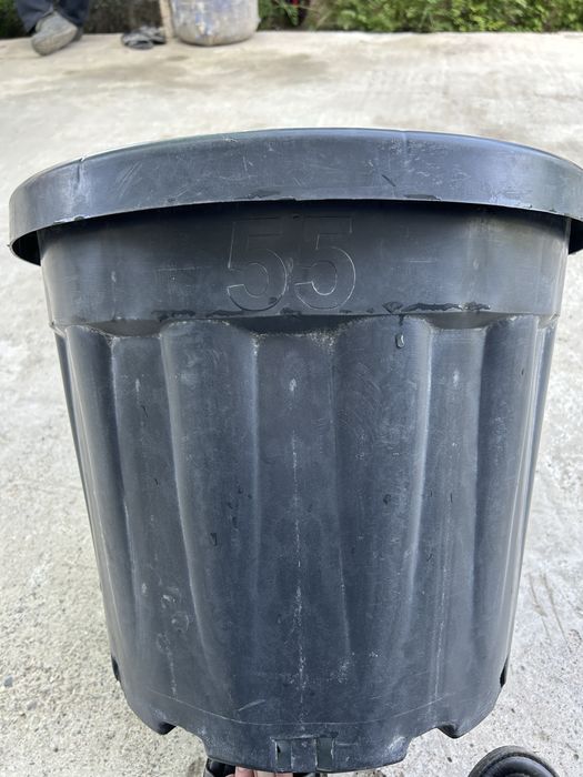 Tuvak. Daraxt va nihol uchun tuvaklar sotiladi