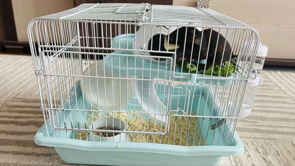 Продам 2х хомяков с клеткой.
