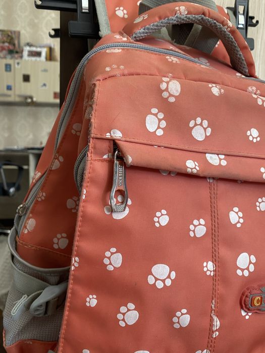 Ghiozdan pentru scoala