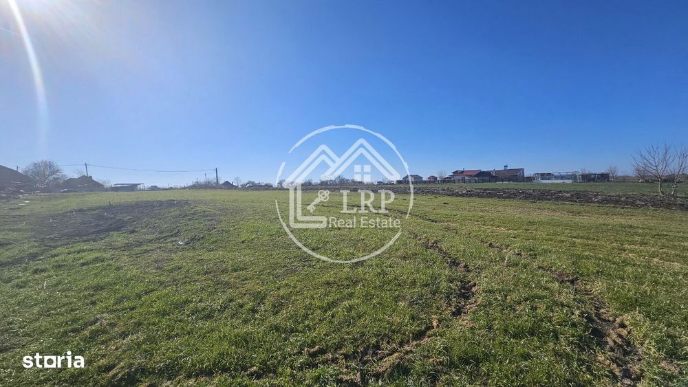 Loturi de Casa pe malul Lacului Creata, Dascalu – 460 mp + Drum serv