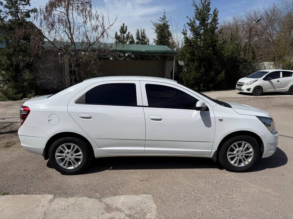 Cobalt White Sotiladi