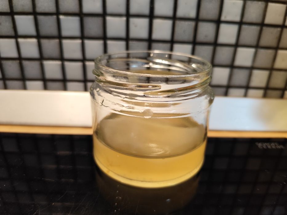 Ciupercă Kombucha (SCOBY) proaspătă + Lichid Starter inclus
