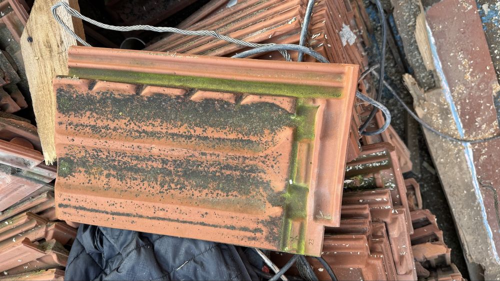 Vand tigla kikinda ca noua a stat pe casa 4 ani pret 2 lei 2100 de buc