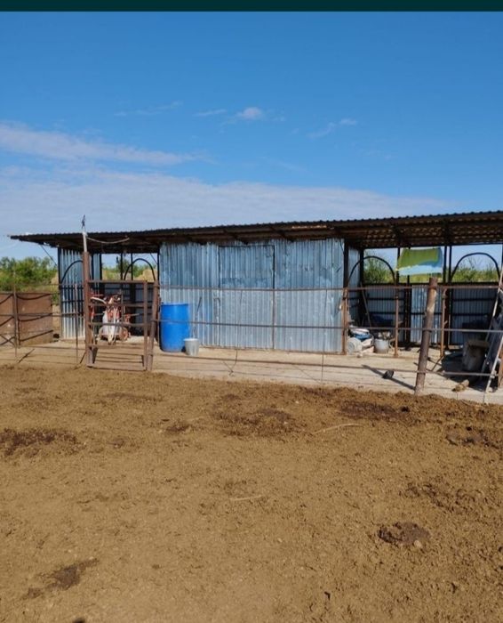 Продам Крестьянское хозяйство