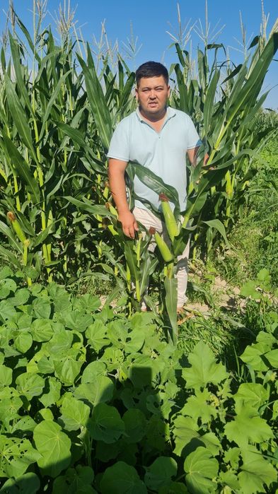 Доставка есть по городу