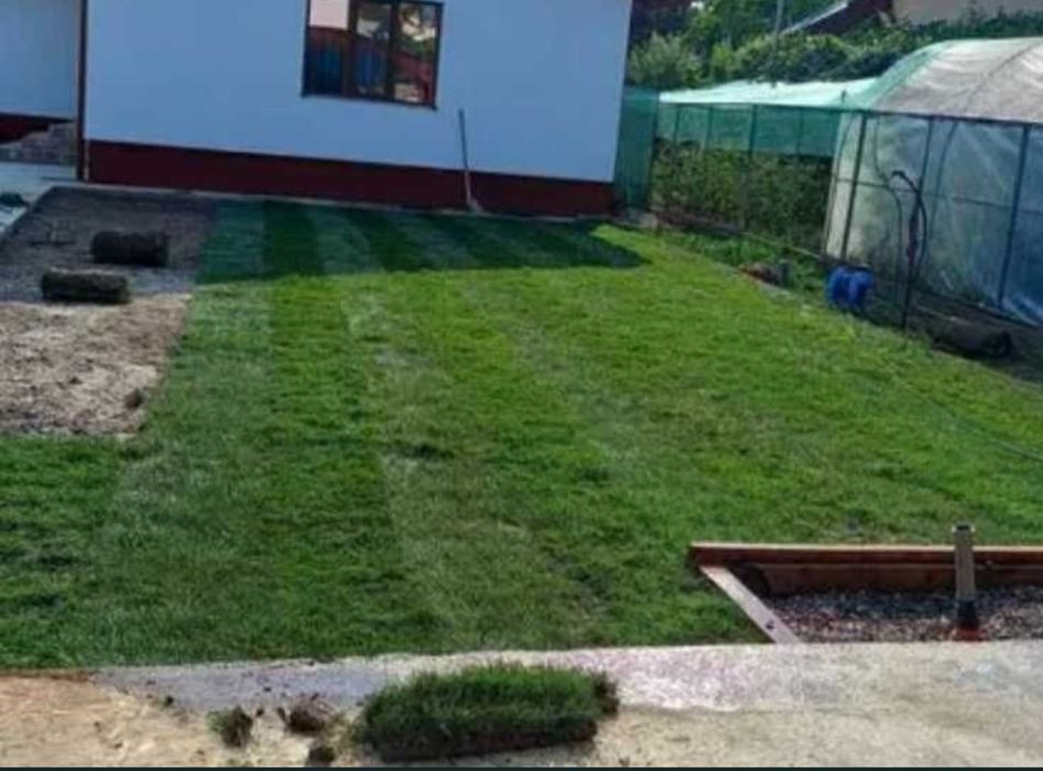 Gazon rulou la un super pret  transport ori unde in tara