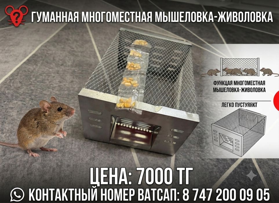 Мышеловка железная