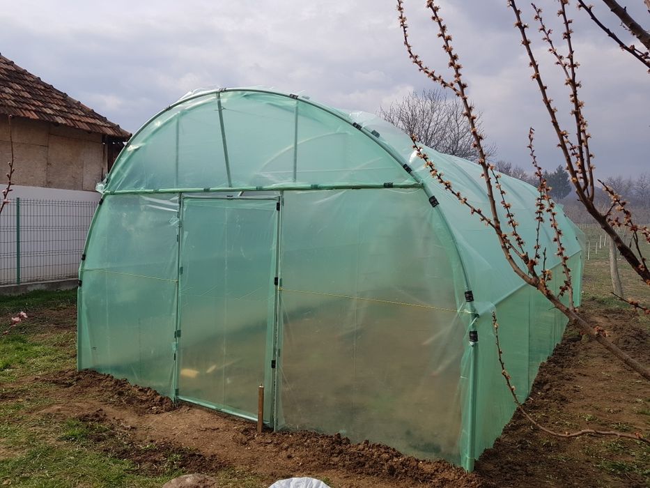 Arcade,solare legume