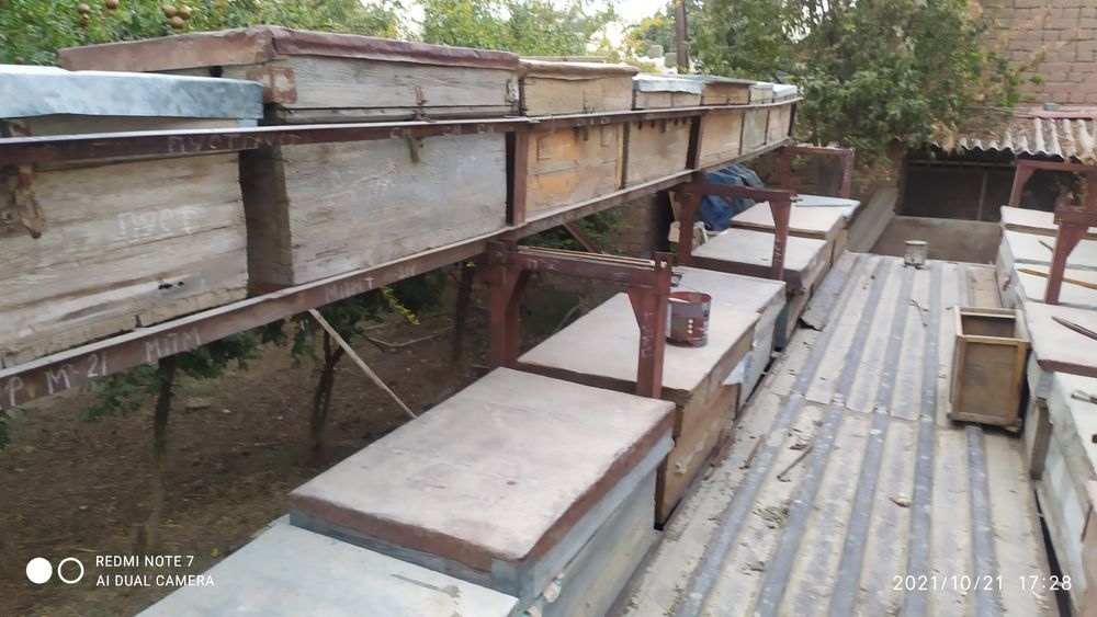 Асалари вагон+асалар ящик+ асалари оиласи