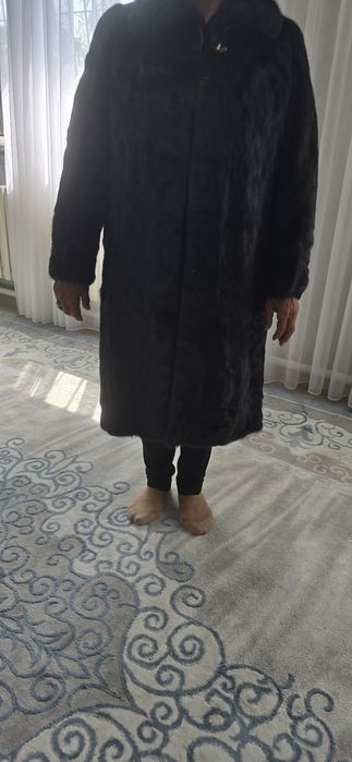 Шуба бу нормально