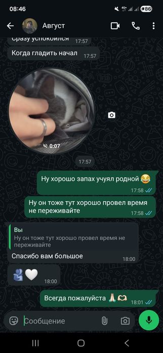 Зоогостиница для ваших животных