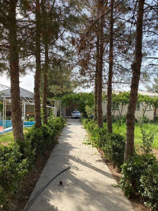 Дача Пулотдахгом 20 сотых  все условия