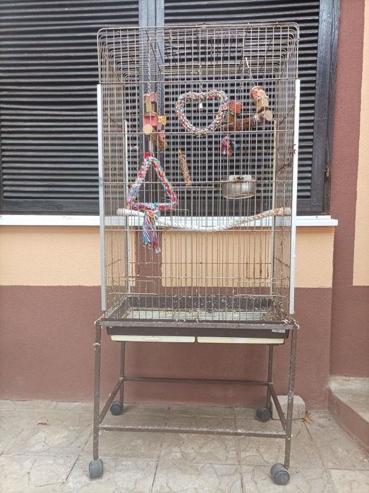 Нови клетки за птици