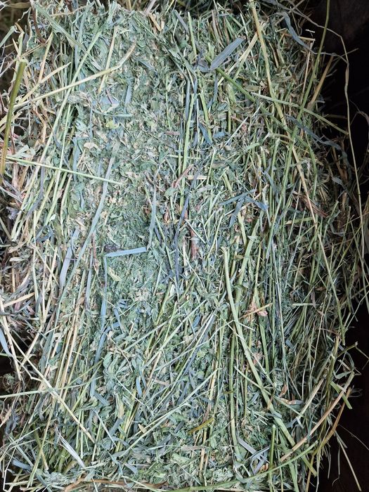 Baloți de lucernă – calitate superioară