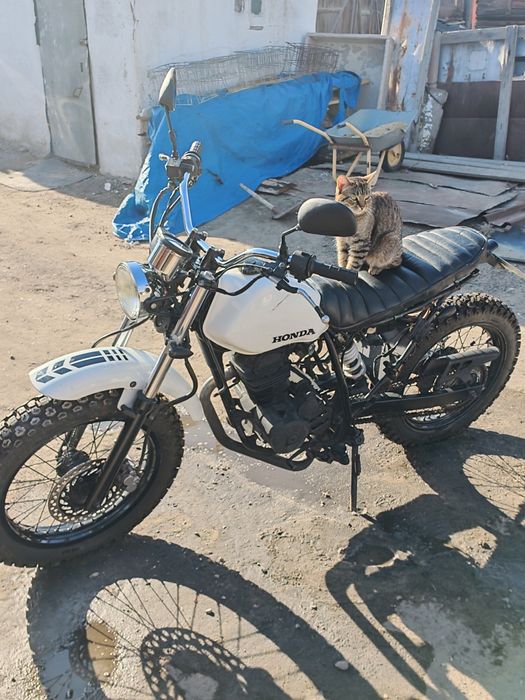 Honda FTR 223, Scrambler