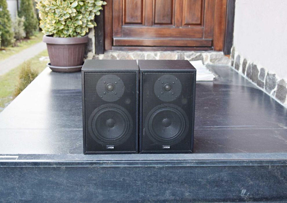 Boxe Canton Fonum 250