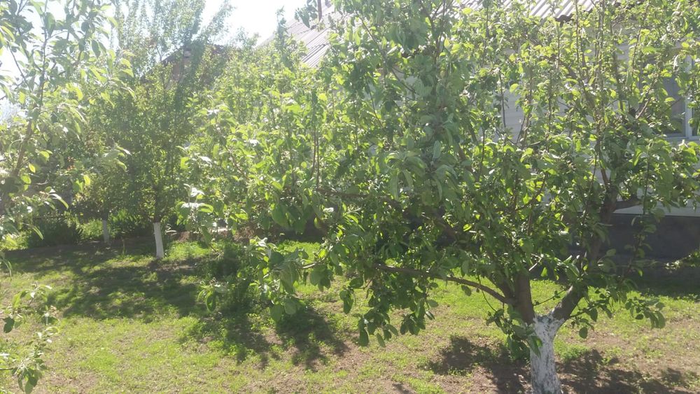 Продам дом г. Алатау( Жетыген)