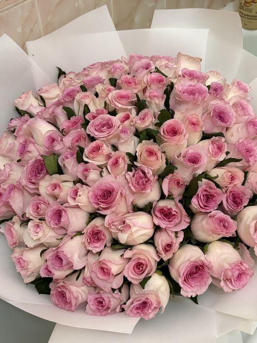 Продам 101 розу,