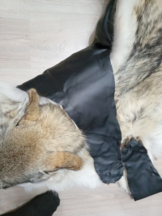 Продам ковер из шкуры волка