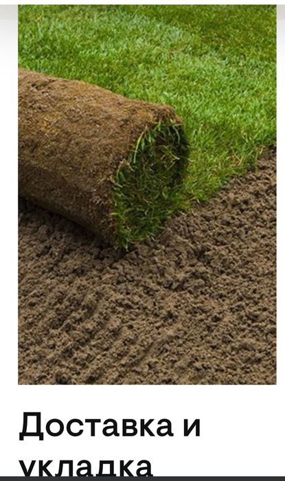 Газон Автополив Ландшафт дизайн