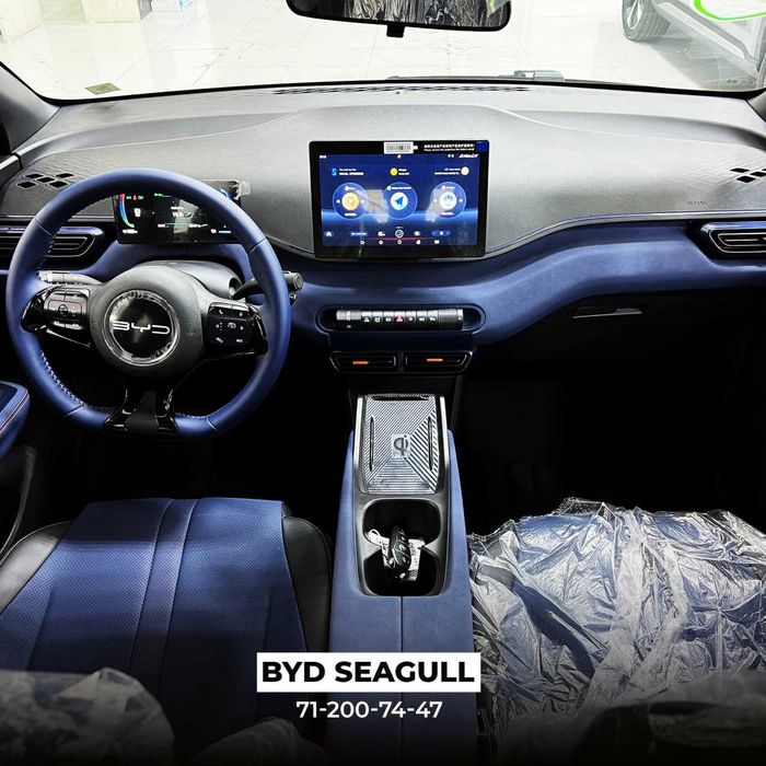 BYD Seagull Full 2023y 405km
