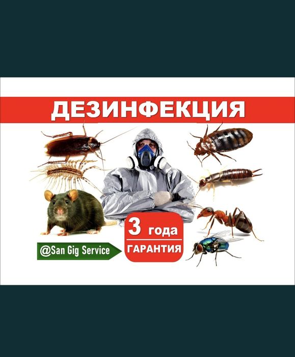 Дезинфекция помещения