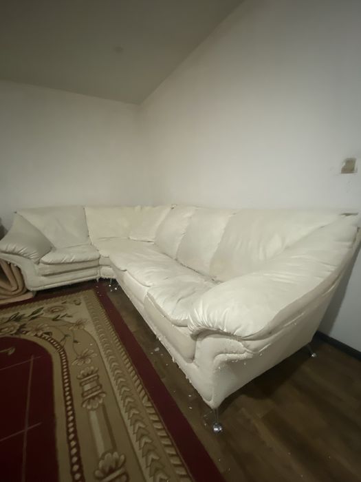 Отдам  Бесплатно