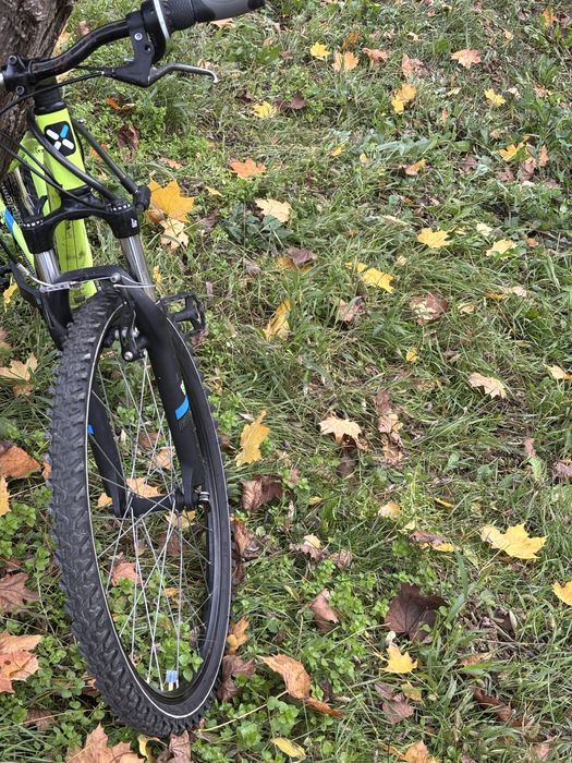 Rokrider st100 green